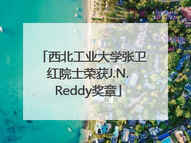 西北工业大学张卫红院士荣获J.N.Reddy奖章
