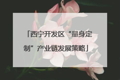 西宁开发区“量身定制”产业链发展策略