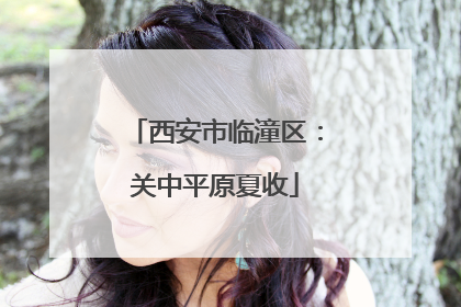 西安市临潼区：关中平原夏收