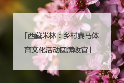 西藏米林：乡村赛马体育文化活动圆满收官