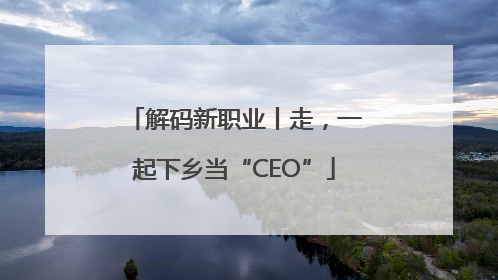 解码新职业丨走，一起下乡当“CEO”