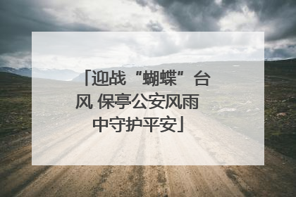 迎战“蝴蝶”台风 保亭公安风雨中守护平安