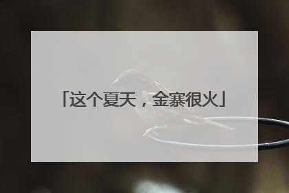 这个夏天，金寨很火