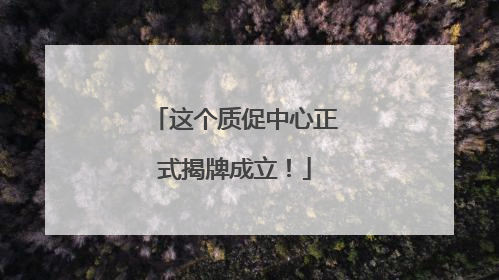 这个质促中心正式揭牌成立！