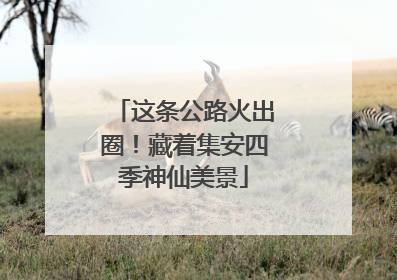 这条公路火出圈！藏着集安四季神仙美景