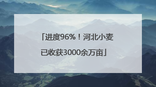 进度96%！河北小麦已收获3000余万亩