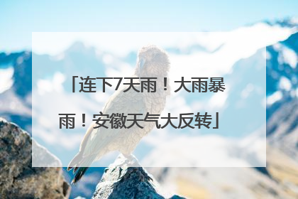 连下7天雨！大雨暴雨！安徽天气大反转