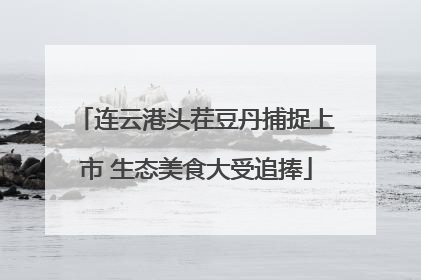 连云港头茬豆丹捕捉上市 生态美食大受追捧