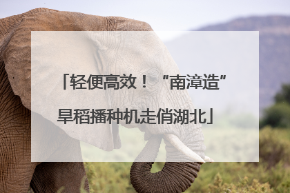 轻便高效！“南漳造”旱稻播种机走俏湖北