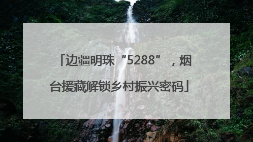 边疆明珠“5288”，烟台援藏解锁乡村振兴密码