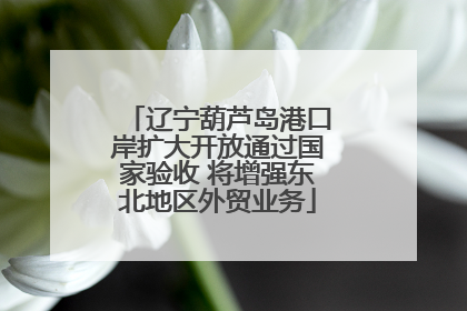 辽宁葫芦岛港口岸扩大开放通过国家验收 将增强东北地区外贸业务