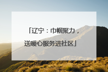 辽宁：巾帼聚力，送暖心服务进社区