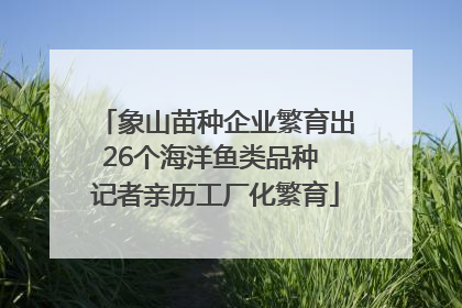 象山苗种企业繁育出26个海洋鱼类品种 记者亲历工厂化繁育