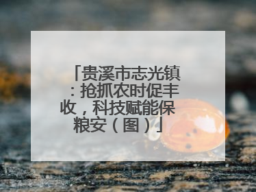 贵溪市志光镇：抢抓农时促丰收，科技赋能保粮安（图）