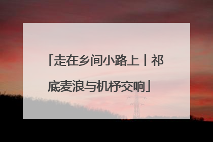 走在乡间小路上丨祁底麦浪与机杼交响