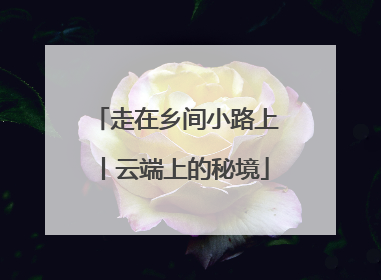 走在乡间小路上丨云端上的秘境