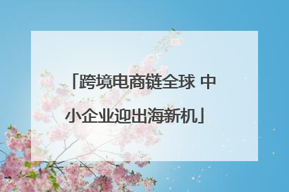 跨境电商链全球 中小企业迎出海新机
