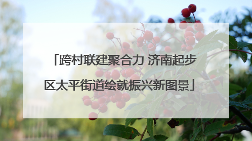 跨村联建聚合力 济南起步区太平街道绘就振兴新图景