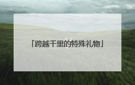 跨越千里的特殊礼物