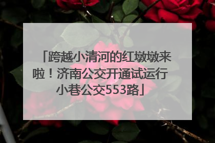 跨越小清河的红墩墩来啦！济南公交开通试运行小巷公交553路