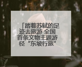 踏着苏轼的足迹去旅游 全国首条文物主题游径“东坡行旅”首期建设上新