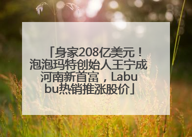 身家208亿美元！泡泡玛特创始人王宁成河南新首富，Labubu热销推涨股价