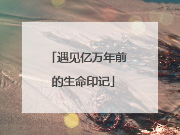 遇见亿万年前的生命印记