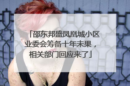邵东邦盛凤凰城小区业委会筹备十年未果，相关部门回应来了