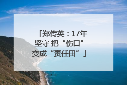 郑传英：17年坚守 把“伤口”变成“责任田”