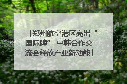 郑州航空港区亮出“国际牌” 中韩合作交流会释放产业新动能