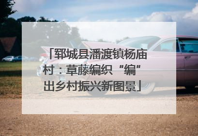 郓城县潘渡镇杨庙村：草藤编织“编”出乡村振兴新图景