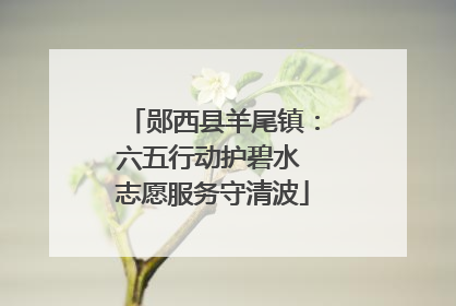 郧西县羊尾镇：六五行动护碧水 志愿服务守清波