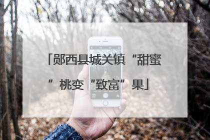 郧西县城关镇“甜蜜”桃变“致富”果
