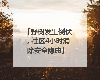 野树发生倒伏，社区4小时消除安全隐患