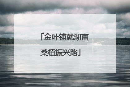 金叶铺就湖南桑植振兴路
