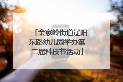 金家岭街道辽阳东路幼儿园举办第二届科技节活动