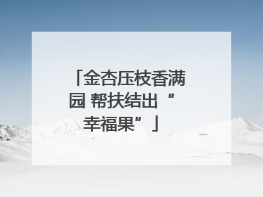 金杏压枝香满园 帮扶结出“幸福果”