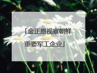 金正恩视察朝鲜重要军工企业