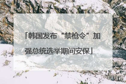 韩国发布“禁枪令”加强总统选举期间安保