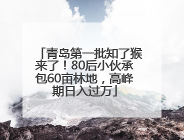 青岛第一批知了猴来了！80后小伙承包60亩林地，高峰期日入过万