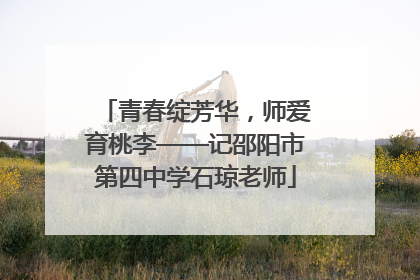 青春绽芳华，师爱育桃李——记邵阳市第四中学石琼老师