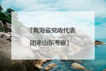 青海省党政代表团来山东考察