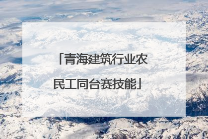 青海建筑行业农民工同台赛技能