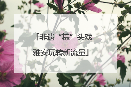 非遗“粽”头戏 雅安玩转新流量