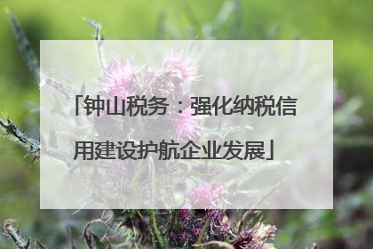 钟山税务：强化纳税信用建设护航企业发展