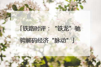 铁路时评：“铁龙”驰骋解码经济“脉动”