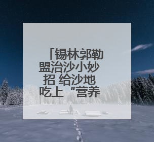 锡林郭勒盟治沙小妙招 给沙地吃上“营养餐”
