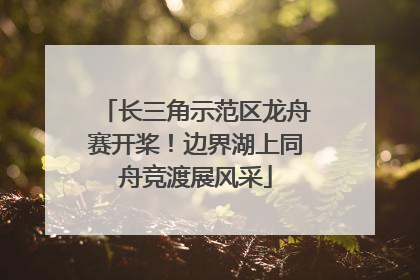 长三角示范区龙舟赛开桨！边界湖上同舟竞渡展风采