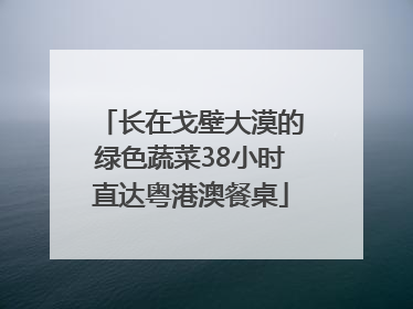 长在戈壁大漠的绿色蔬菜38小时直达粤港澳餐桌