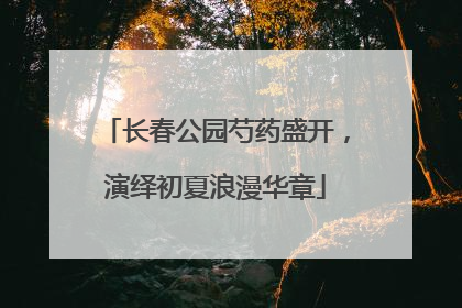 长春公园芍药盛开，演绎初夏浪漫华章